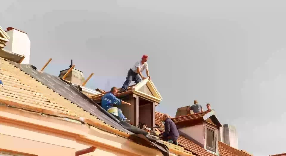 A Roof for Every Need: Your Contractor's Expertise